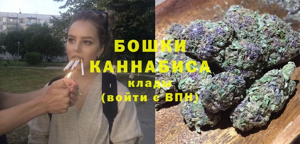 МДПВ Заводоуковск