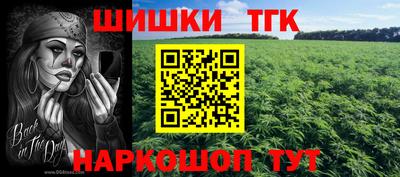 прущие крисы Аргун
