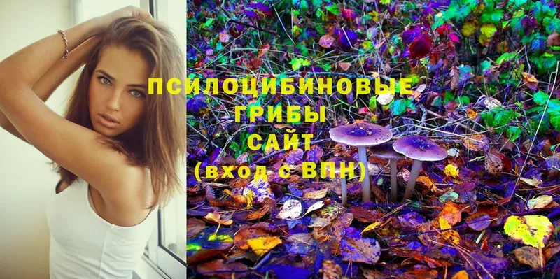 kraken зеркало  как найти закладки  Батайск  Псилоцибиновые грибы Psilocybine cubensis 