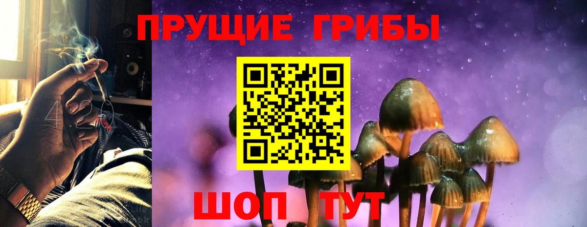 Псилоцибиновые грибы мицелий Батайск